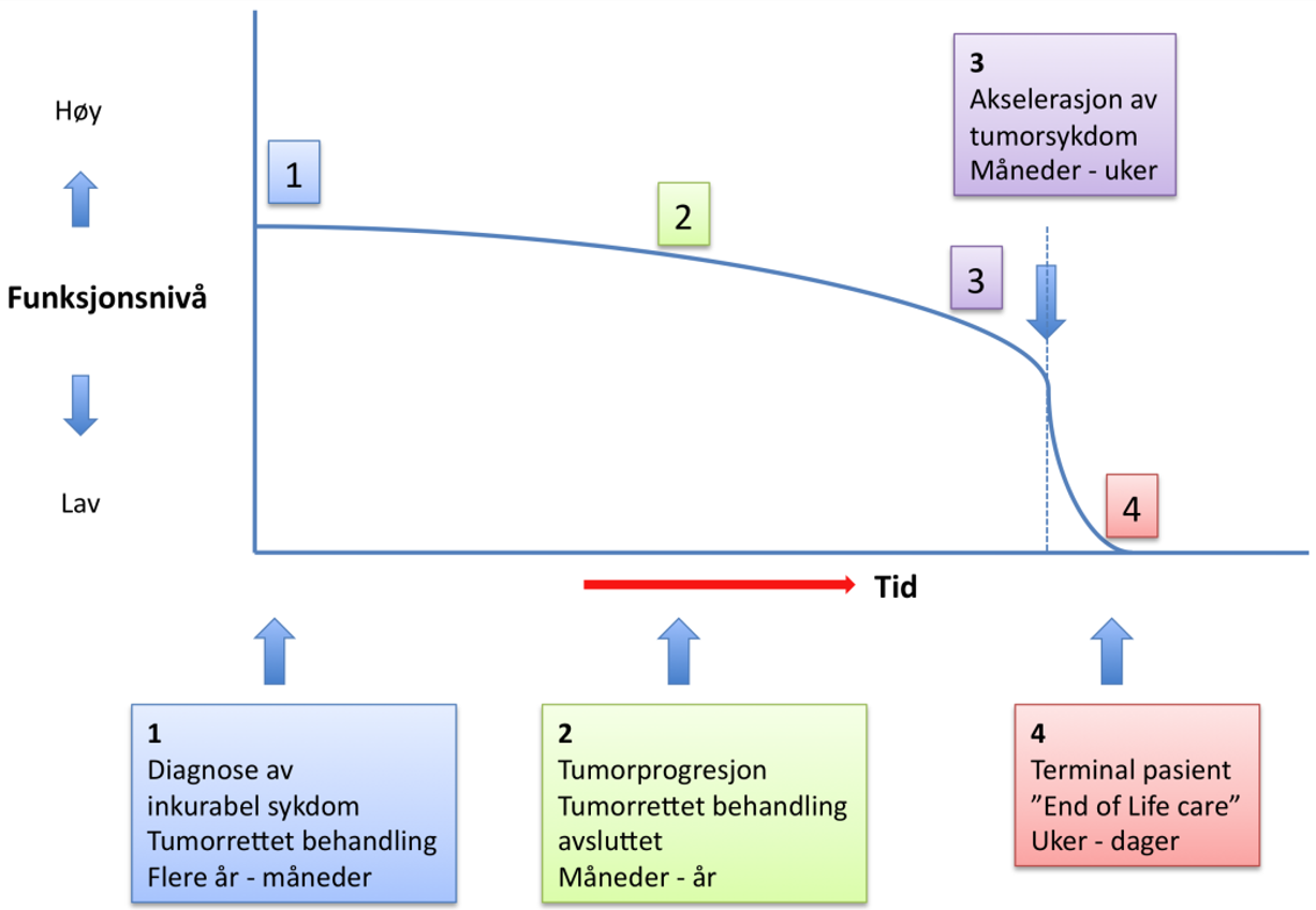 Tykktarm Og Endetarmskreft Nasjonalt Handlingsprogram Helsebiblioteket tykktarm-og-endetarmskreft-nasjonalt-handlingsprogram-helsebiblioteket
